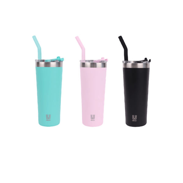 Decor Insulated Smoothie Tumbler With Straw 650ml