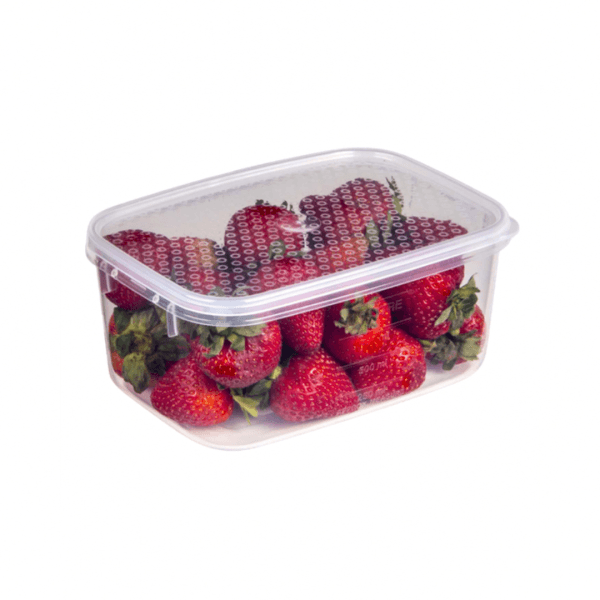 Decor TellFresh Storer Oblong 1L